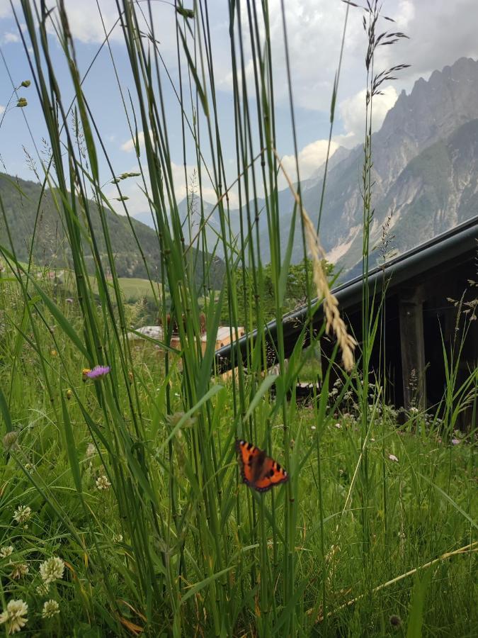 Appartements Obergollerhof Assling Εξωτερικό φωτογραφία